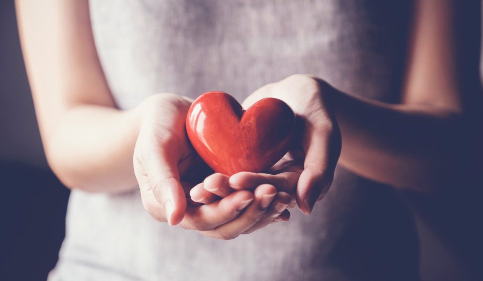 person holding heart in hands