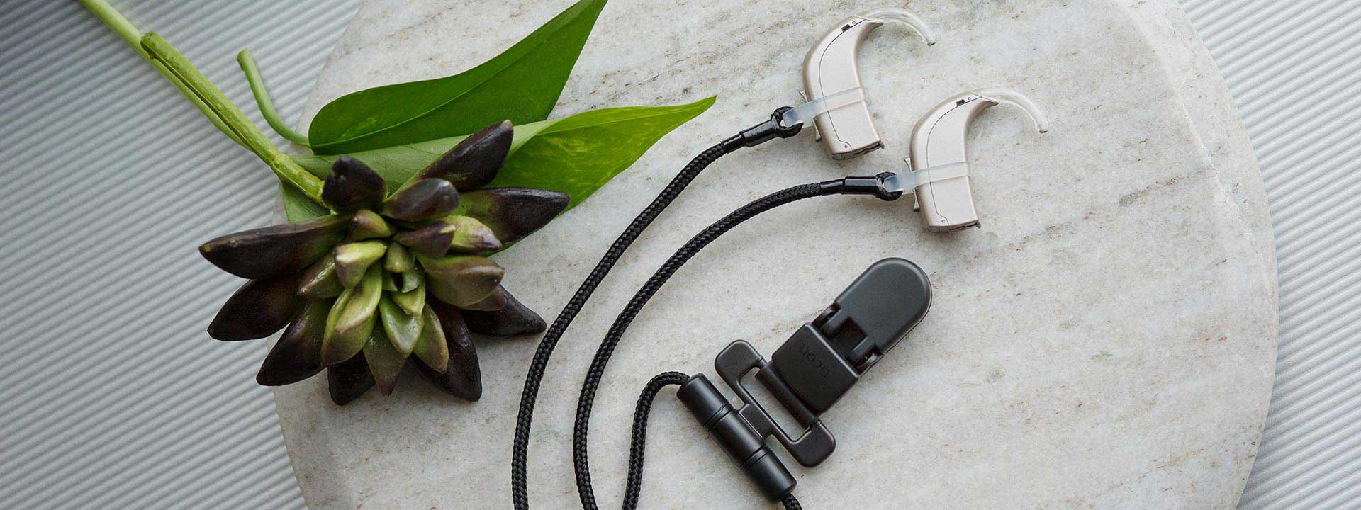 image of hearing aid accessories