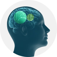 Illustration shows Brainhearing technology